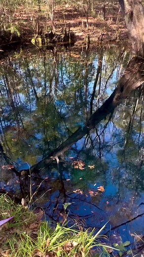 Exploring Underwater Bridges: Swim Through Like a Mermaid!
