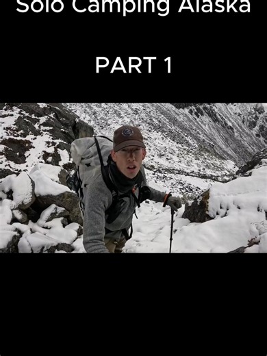 FAKTA ALASKA: OBAT SAKIT KEPALA DARI ALAM Lagi hiking sendirian di Alaska, badan mulai demam dan kepala nyut-nyutan. 🥶🤒 Obat habis, cuaca makin brutal… Tiba-tiba nemu “apotek hidup” di hutan Alaska 🌲 Kulit pohon Willow ini mengandung Salicin — bahan alami dasar Aspirin Rasanya? Pahitnya nempel sampai tenggorokan 😖 Beruntung ketemu kabin tua di detik-detik terakhir. Hari ini Alaska ngasih pelajaran survival yang mahal.. #alaska #fyp #tiktokindonesia #campinglife #survivalskills #tipsmendaki