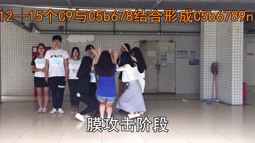 补体的经典激活途径