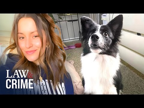 Las Vegas Woman Accused of Doing Awful Things to Her Dog