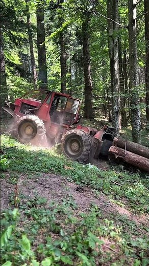 TAF forestry skidder hauling huge logs through steep terrain #taf #logging #forst #holzernte #timber