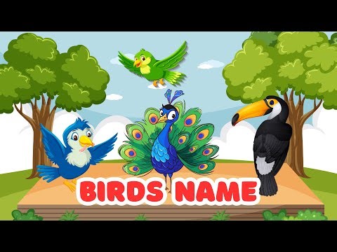 Birds for Kids | Learn Bird Names with Pictures & Fun Animations