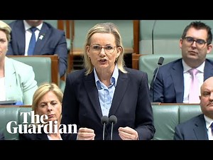 Sussan Ley asks ‘how do we maintain the rage?’ over the 74 Australian women killed in 2024