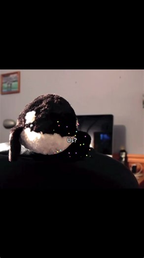 Understanding Rooster Behavior: A Fun Insight