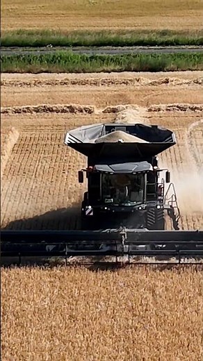 “Harvesting a Full Field of Wheat – Satisfying & Profitable Farm Day!”
