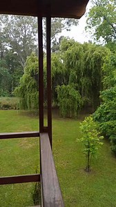 72K views · 2.2K reactions | Al mal tiempo, hermosa cabaña! ☔ . La picasso es un sueño! ♥️ . Con un deck enorme, techado y con todas las comodidades para que estar adentro también sea un planazo! ✨ . Feliz domingo!!!! | Cabaña en el delta "Polesie" | Facebook