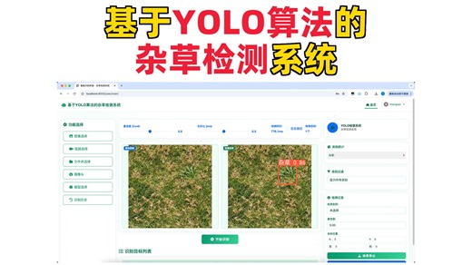 基于深度学习的杂草检测系统演示与介绍(YOLOv12/v11/v8/v5模型 Django web 训练代码 数据集)