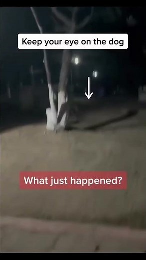 Live teleportation caught on camera #shorts