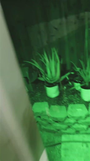 Vented grows are loud!!!! 😅#ventedgrow #growroom #grow #420 #simpro