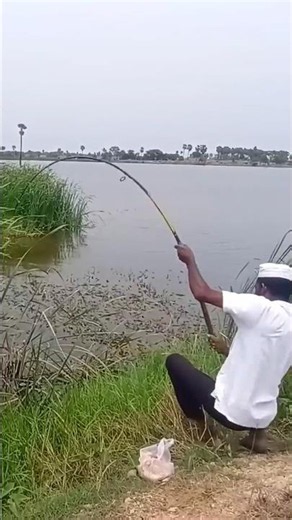 Big Rohu Fish hook Catching Fisherman # #fishing #bigfish #hookfish