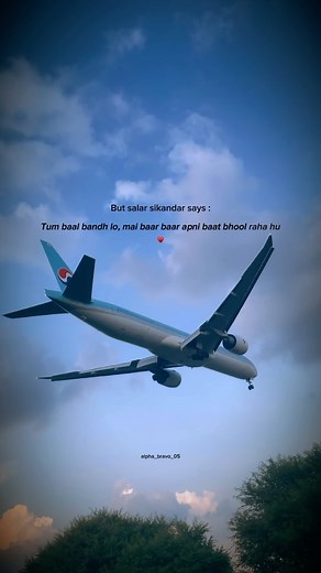 Ayush Bharti | These lines are from Haram Orebi♥️🙌 . . . . . . #shayari #avgeeks #poetry #megaplane #spotting #spotter #boeinglovers #thoughts #airbusa... | Instagram