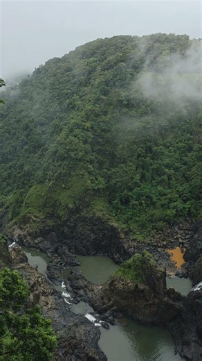 #cairns #queensland #travel #explore #travelvlog #visitqueensland #tropical #adventure #nature #reel