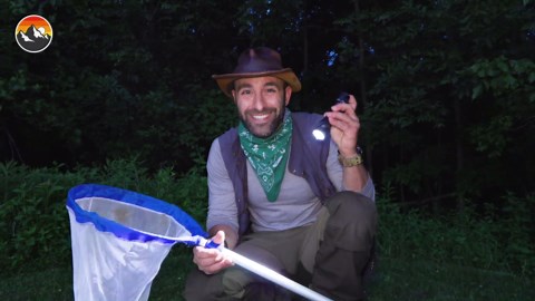 DIY firefly sanctuary