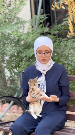 Lala Organization for Environmental Protection | Feline Calicivirus (FCV): A common viral infection in cats that mainly affects the mouth, respiratory system, and sometimes joints. It... | Instagram