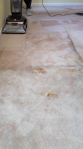 1.1M views · 19K reactions | The before & after of this carpet is INSANE 濫 #HomeImprovement #diyprojects #cleanwithme | Lexi DIY | Facebook