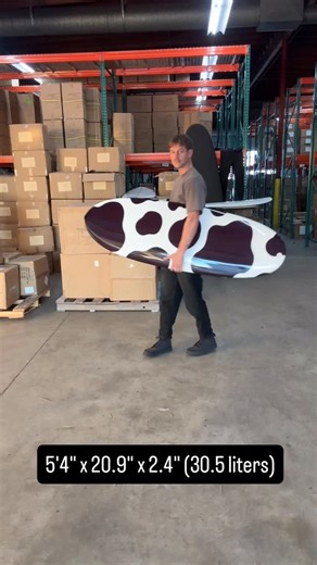 Ho Stevie! on Instagram: "Choose your fighter"