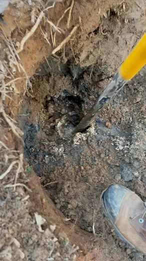 Splish splash, don’t nobody take a bath🤤 #foryoupage #42 #dirtyjobs #septic #fyp | Andrew Wilkinson