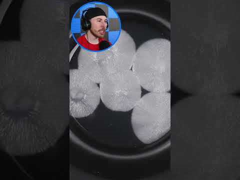 Incredible Ice and Water Experiments—Cool Science