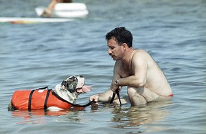 6 dog-friendly vacation ideas for your next getaway