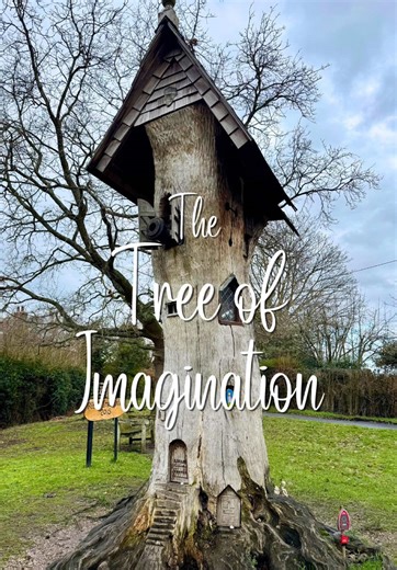Explore the Tree of Imagination in Lower Peover