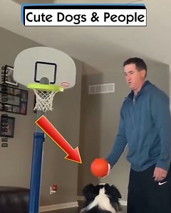 Cute Dogs & People | Dr. Beau Hightower