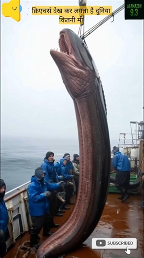 Telescope Eyes Fish | Deep Sea Mystery | 👀😱 #shots #deepsea #oceanmysteries #telescopfish