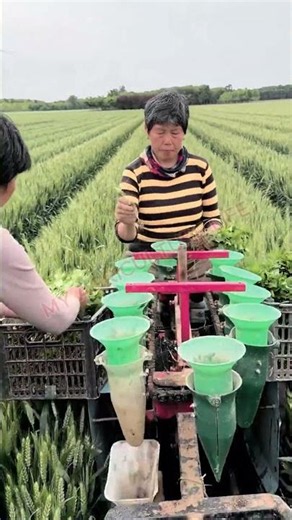 Semi-Automated Seedling Planting Machine! 🌱
