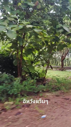 Mane Liverpool on Reels