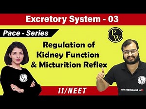 Excretory System 03 | Regulation Of Kidney Function | Micturition Reflex | Class 11 | NEET |