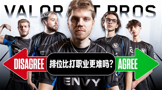 「ENVY」选世界冠军还是一百万？排位和训练赛哪个更难？所有选手的想法一样吗？| 中字