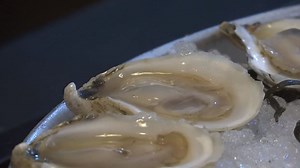 'Red tide' shuts down some Maine shellfish farms