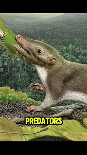 The First Mammals: Tiny Survivors in the Age of Dinosaurs