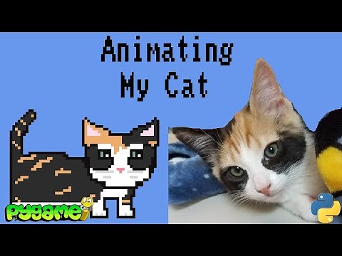 Pygame Animation Tutorial: How to Animate a Player Character