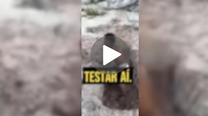 Maloqueiro cavando video, de qué trata la grabación y por qué es viral en internet