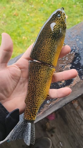 German brown trout available Pending. | Tony Campos