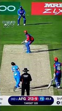 The Best Yorker's Of The 2019 CWC | #shorts #trending #cricket #yorker