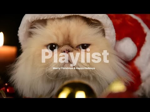 𝗽𝗹𝗮𝘆𝗹𝗶𝘀𝘁❄️✨신나는 크리스마스 팝송🎄 Christmas Pop Playlist—Upbeat Holiday Songs for a Cozy Winter Night