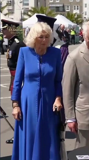William’s Silent Banquet Move Leaves Camilla Completely Frozen Before Diplomats