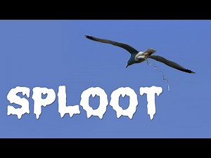 EXPLOSIVE DIARRHEA! - Let's Play Sploot - Bird Pooping Simulator Game