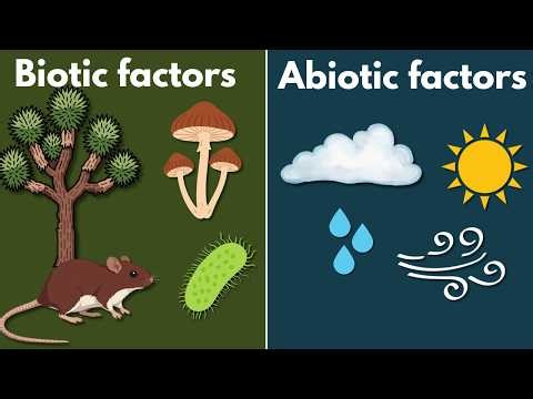 Biotic and abiotic factors | Middle school Earth and space science | Khan Academy
