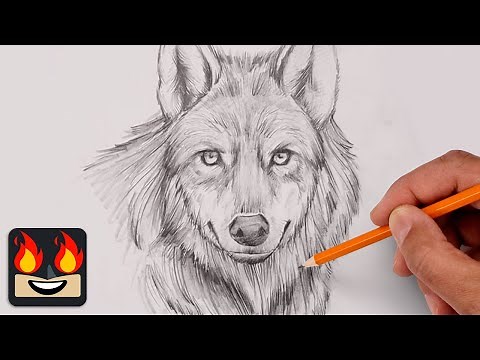 How To Draw a Dire Wolf | Sketch Tutorial