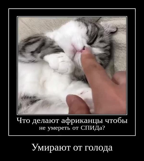 Больше приколов в телеграм канале komaru_gif #komaru