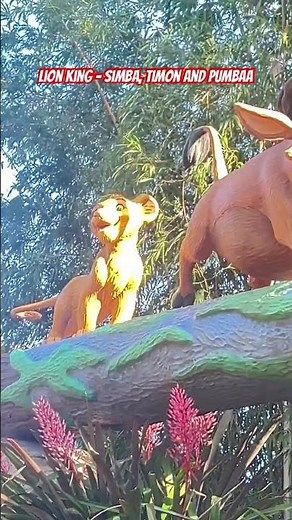 Animal Kingdom - Simba, Timon and Pumbaa! #animalkingdom #disney #lionking #simba