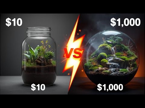 $10 vs $1,000 Terrarium – Budget Build vs Premium Eco World!