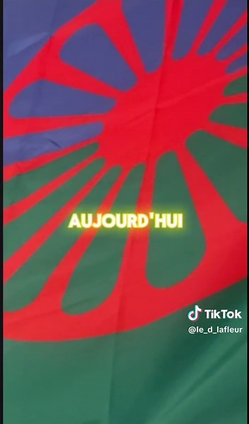 Chanson d'Amour Gitane : La Musique du Cœur