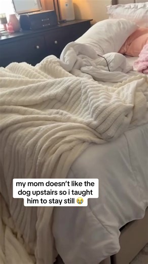 The Hilarious Story of a Paid Dog Actor