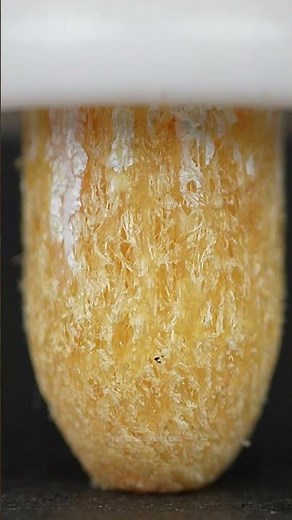 Pen Marker ASMR Satisfying Push & Click Sounds #relaxing #macro #closeup