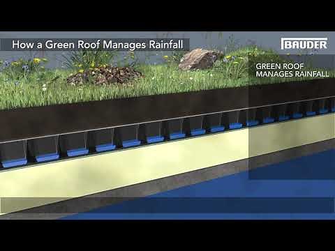 Bauder Green and Blue Roof