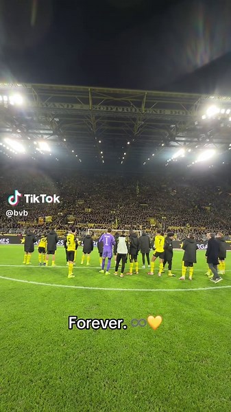 The Unwavering Support of Borussia Dortmund Fans