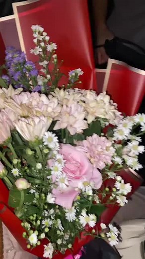 Exploring Dara with Timaacii Bub